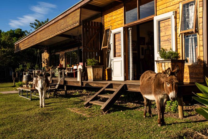 5 Bedroom Property for Sale in The Crags Western Cape